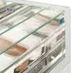Picture of ISA One Show Range Scoop Ice Cream Display - ONESHOWRANGEOG