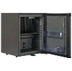 Picture of Tefcold TM Minibar Fridge - TM