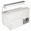 Picture of Framec J Range Scoop Ice Cream Display Fridge - JRANGE