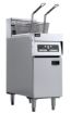 Picture of ELECTRIC FRYER 2X 12,5L - 7509.0010