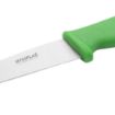Picture of Hygiplas Vegetable Knife Green 10.5cm - C860