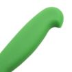 Picture of Hygiplas Vegetable Knife Green 10.5cm - C860