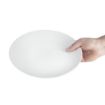 Picture of Olympia Whiteware Coupe Plates 250mm (Pack of 12) - U079