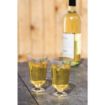 Picture of eGreen Disposable Wine Glasses 175ml (10 pack) - T644