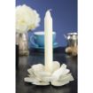 Picture of Bolsius 7" Bistro Candles Ivory (Pack of 45) - P999