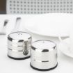 Picture of Olympia Jumbo Salt and Pepper Set - P044