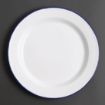 Picture of Olympia Enamel Dinner Plates 245mm (Pack of 6) - GM512