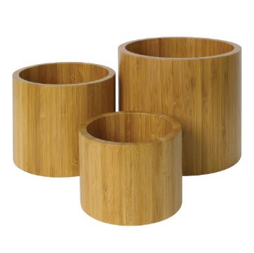 Picture of Olympia Bamboo Risers (3 Pack)