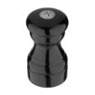Picture of Olympia Salt and Pepper Set Black - GL087