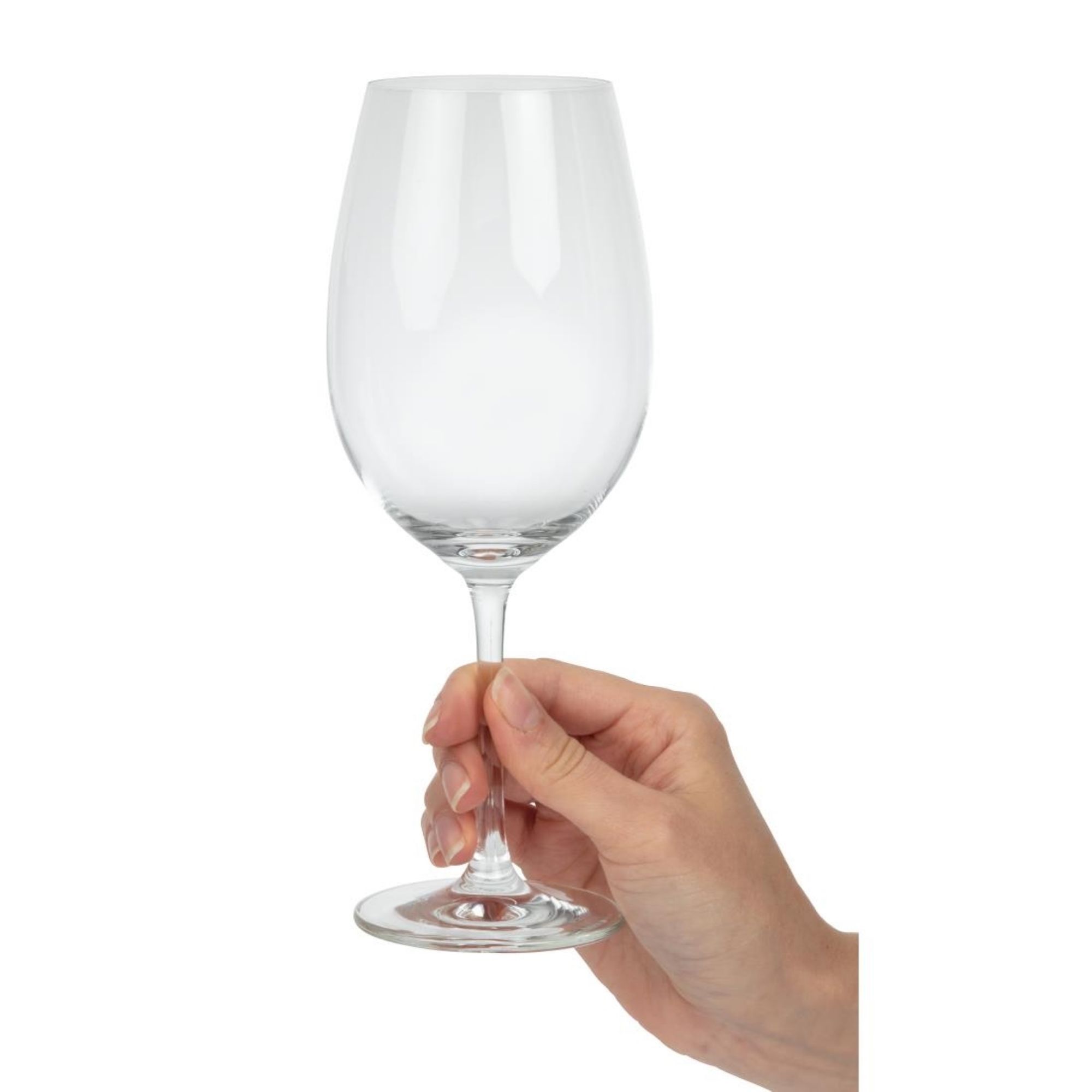 Picture of Schott Zwiesel Ivento Red Wine Glasses 480ml (Pack of 6)
