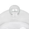 Picture of Glass Cloche 210mm - GJ532