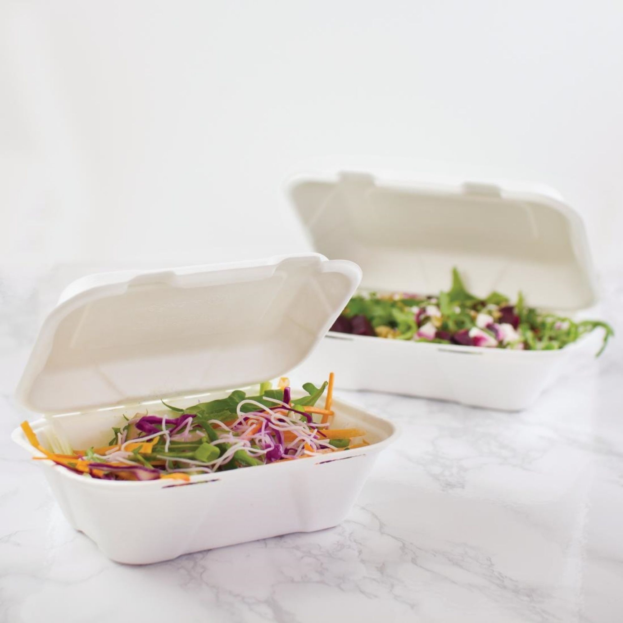 Picture of Vegware Compostable Bagasse Clamshell Hinged Meal Boxes 228mm