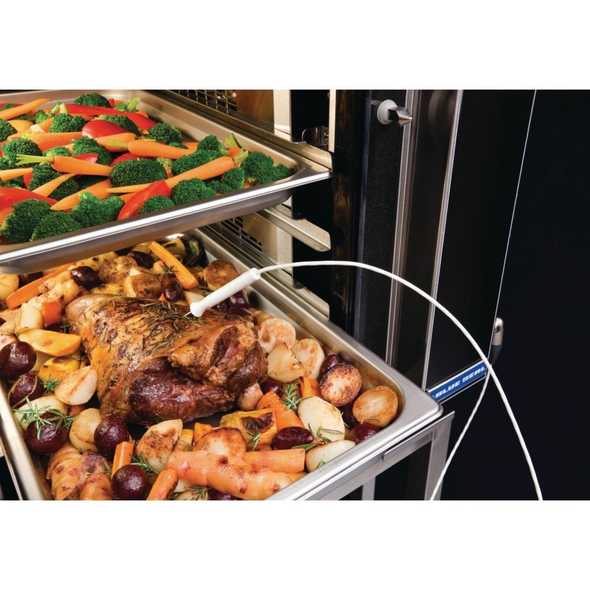 Picture of Blue Seal Turbofan Convection Oven E33D5