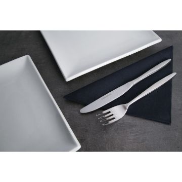 Picture of Olympia Saphir Dessert Spoon (Pack of 12)