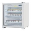 Picture of Polar G-Series Countertop Display Freezer - GC889