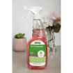 Picture of Jantex Green Air Freshener Cranberry Ready To Use 750ml - FS415