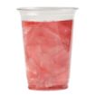 Picture of eGreen Disposable Half Pint Glasses to Brim Glasses UKCA CE Marked (1250 Pack) - FN220