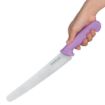 Picture of Hygiplas Serrated Pastry Knife Purple 25.4cm - FP733