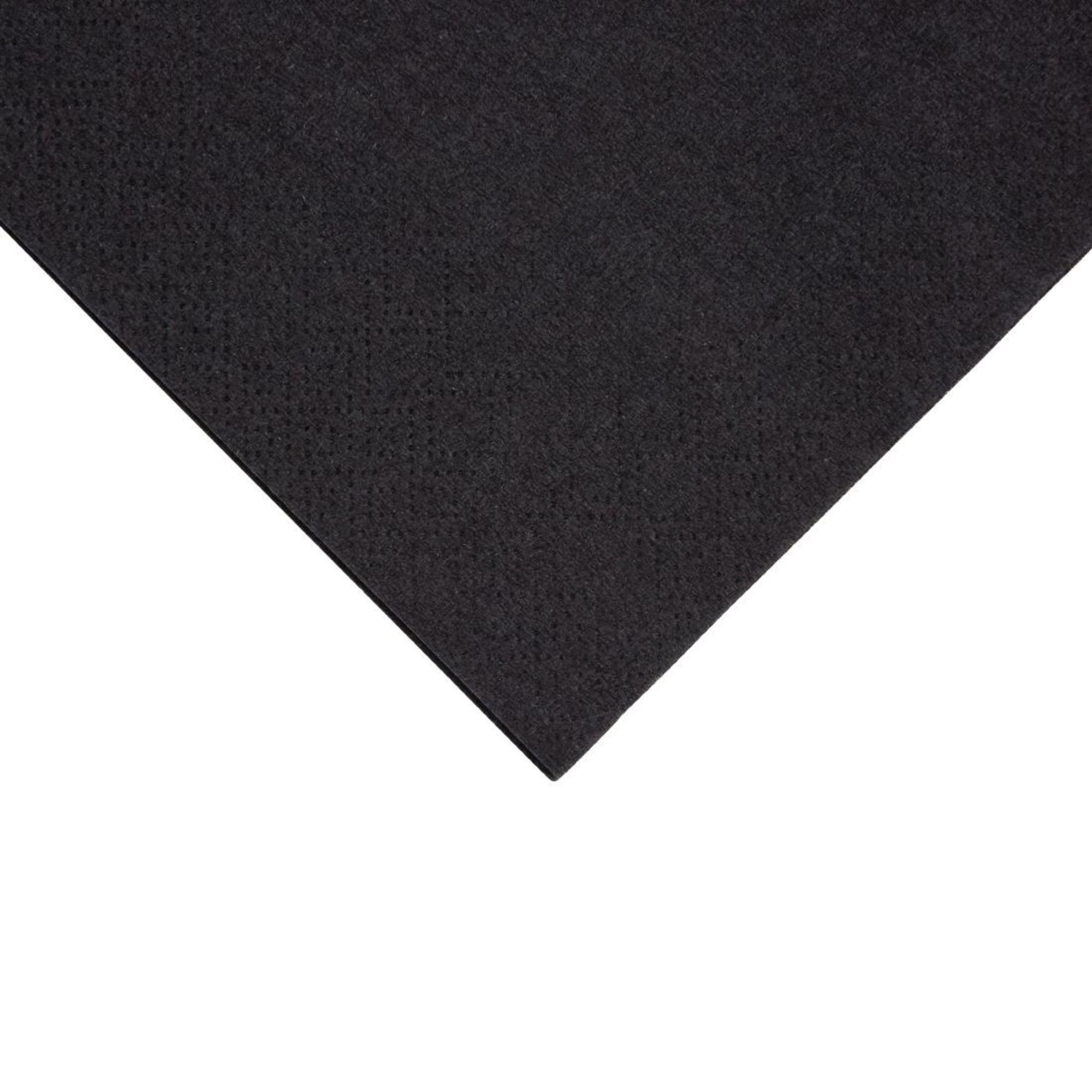 Picture of Fiesta Recyclable Cocktail Napkin Black 24x24cm 2ply 1/4 Fold (Pack of 4000)