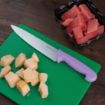 Picture of Hygiplas Cooks Knife Purple 21.8cm - FP730