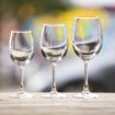 Picture of Olympia Rosario Wine Glasses 250ml (Pack of 6) - FB575