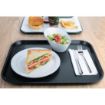 Picture of Olympia Kristallon Foodservice Tray Charcoal 350 x 450mm - FD938