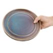 Picture of Olympia Cavolo Iridescent Flat Round Plate - 220mm (Box 6) - FD915