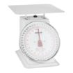 Picture of Vogue Platform Scale 20kg - F175
