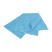 Picture of EcoTech Envirowipe Antibacterial Compostable Cleaning Cloths Blue (25 Pack) - FA208