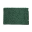 Picture of Jantex Scourer Green (Pack of 10) - F959