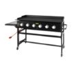 Picture of Buffalo 6 Burner LPG Barbecue Griddle