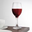 Picture of Olympia Solar Wine Glasses 245ml (Pack of 24) - CU001