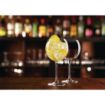 Picture of Arcoroc Juniper Gin Cocktail Glasses 24oz (6 Pack) - CN142