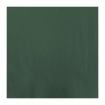 Picture of Fasana Lunch Napkin Green 33x33cm 2ply 1/4 Fold (Pack of 1500) - CK876