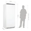 Picture of Polar C-Series Upright Freezer White 600Ltr - CD615