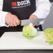Picture of Dick Premier Plus Chefs Knife 21.6cm - DL326