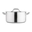 Picture of Nisbets Essentials Stainless Steel Stew Pot With Lid  32cm - DB255