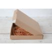 Picture of Fiesta Compostable Plain Pizza Boxes 12" (Pack of 100) - DC724
