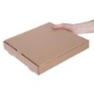 Picture of Fiesta Compostable Plain Pizza Boxes 12" (Pack of 100) - DC724