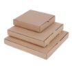 Picture of Fiesta Compostable Plain Pizza Boxes 12" (Pack of 100) - DC724