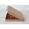 Picture of Fiesta Compostable Plain Pizza Boxes 14" (Pack of 50) - DC725