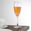 Picture of Olympia Solar Champagne Flutes 170ml (Pack of 24) - CU004