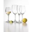 Picture of Olympia Solar Champagne Flutes 170ml (Pack of 24) - CU004