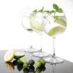 Picture of Olympia Bar Collection Crystal Gin Glasses 645ml (Pack of 6) - CW251
