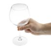 Picture of Olympia Bar Collection Crystal Gin Glasses 645ml (Pack of 6) - CW251