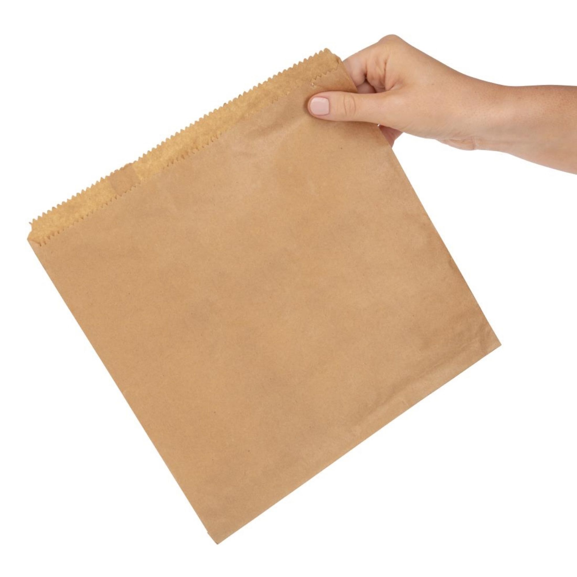 Picture of Fiesta Recyclable Brown Paper Counter Bags Large (1000 Pack)