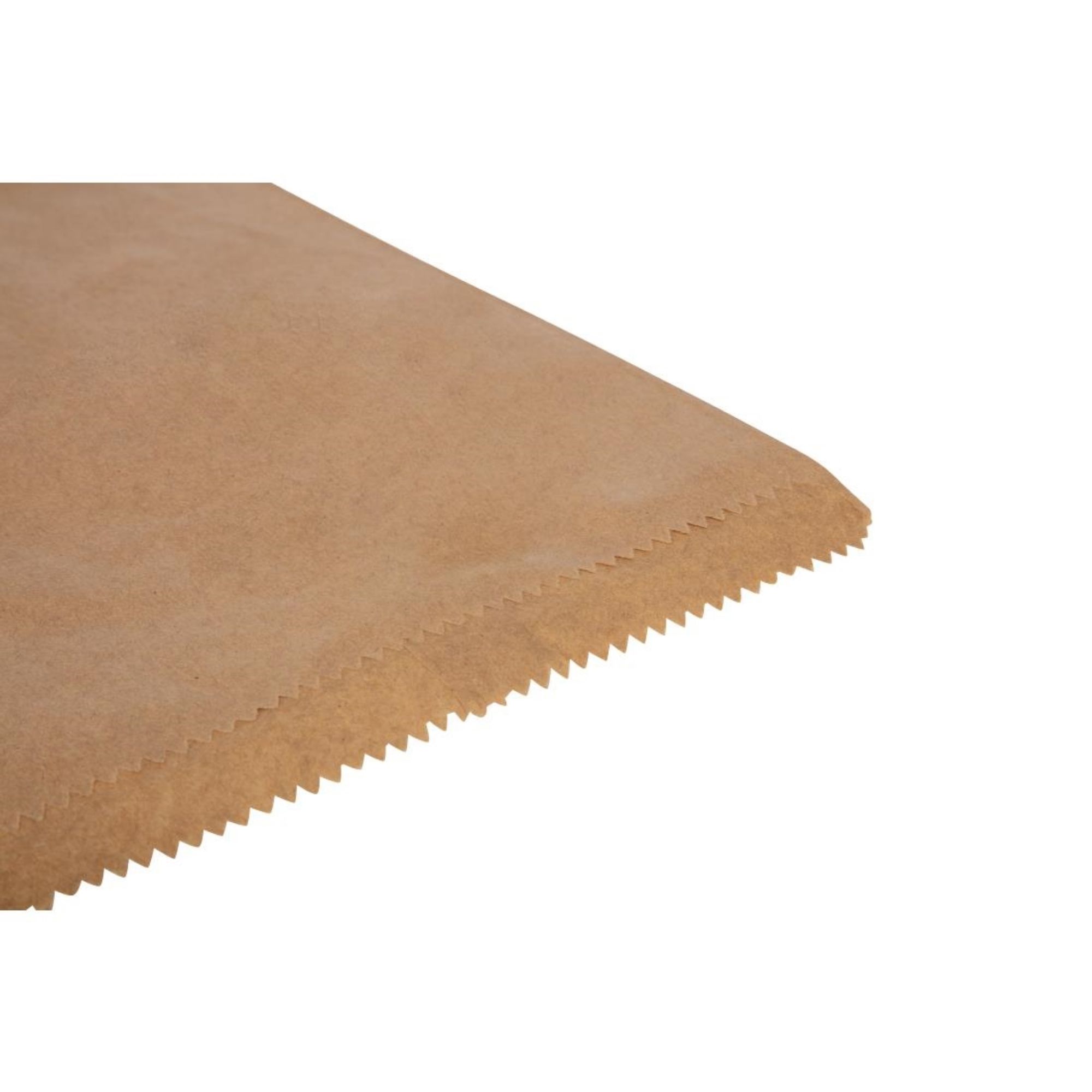 Picture of Fiesta Recyclable Brown Paper Counter Bags Large (1000 Pack)