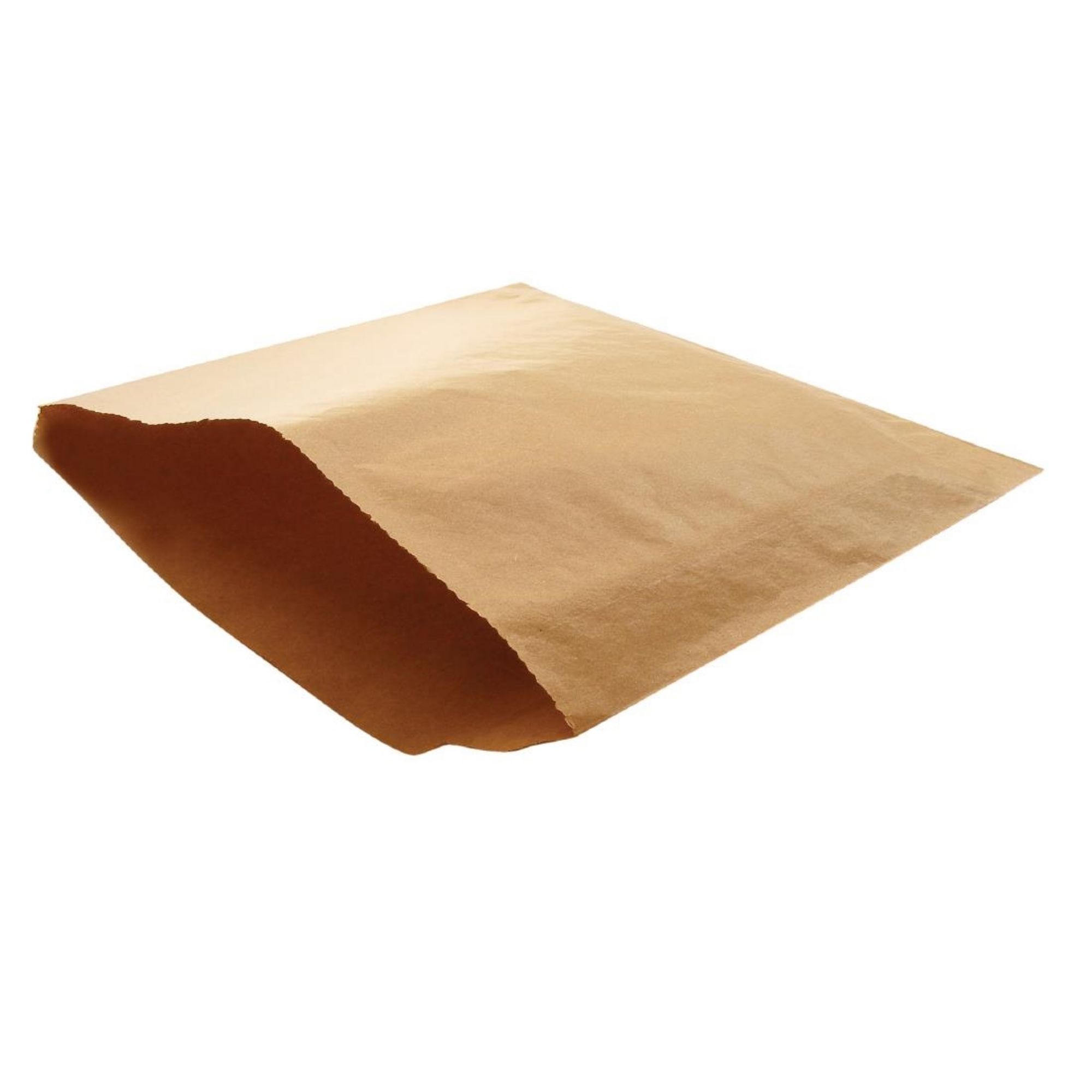 Picture of Fiesta Recyclable Brown Paper Counter Bags Large (1000 Pack)