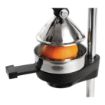 Picture of Vogue Cast Iron Juice Extractor - CF339