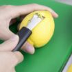 Picture of Vogue Lemon Zester with Canele - CF928